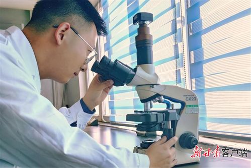 研發賦能，增產擴能 金川集團以新材料技術驅動新能源電池產業鏈持續壯大